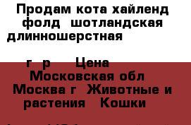 Продам кота хайленд фолд (шотландская длинношерстная) 01.05.2015 г. р.  › Цена ­ 9 500 - Московская обл., Москва г. Животные и растения » Кошки   